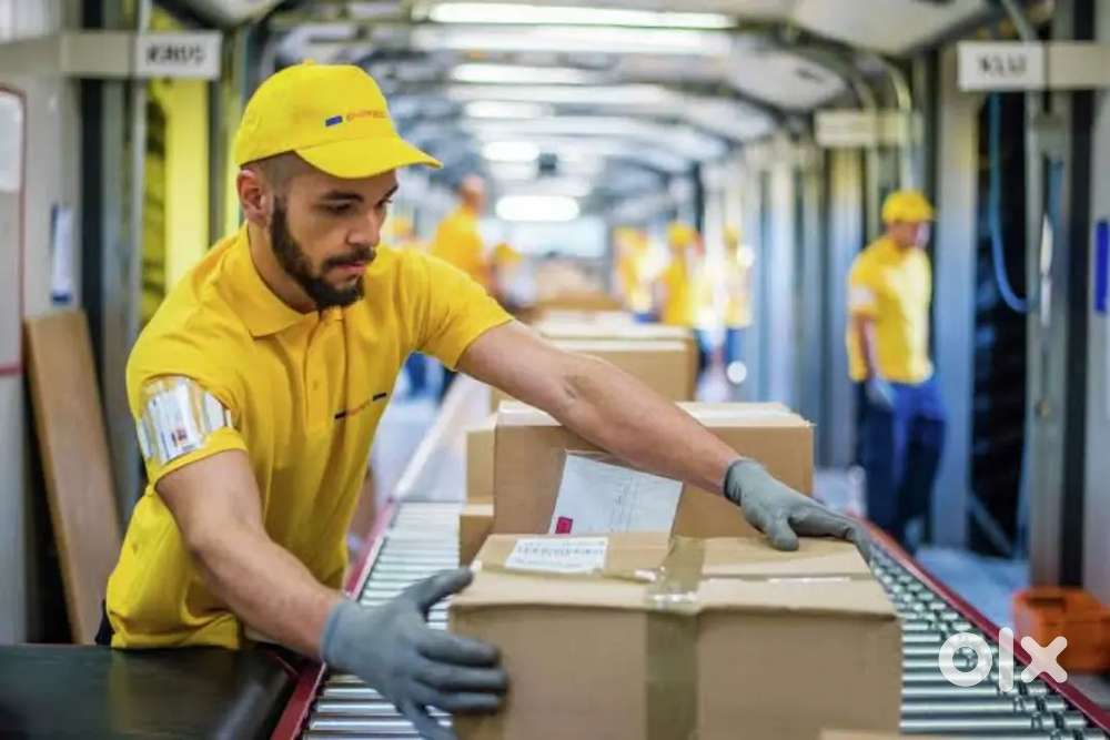 Processing executive - Salem - mary