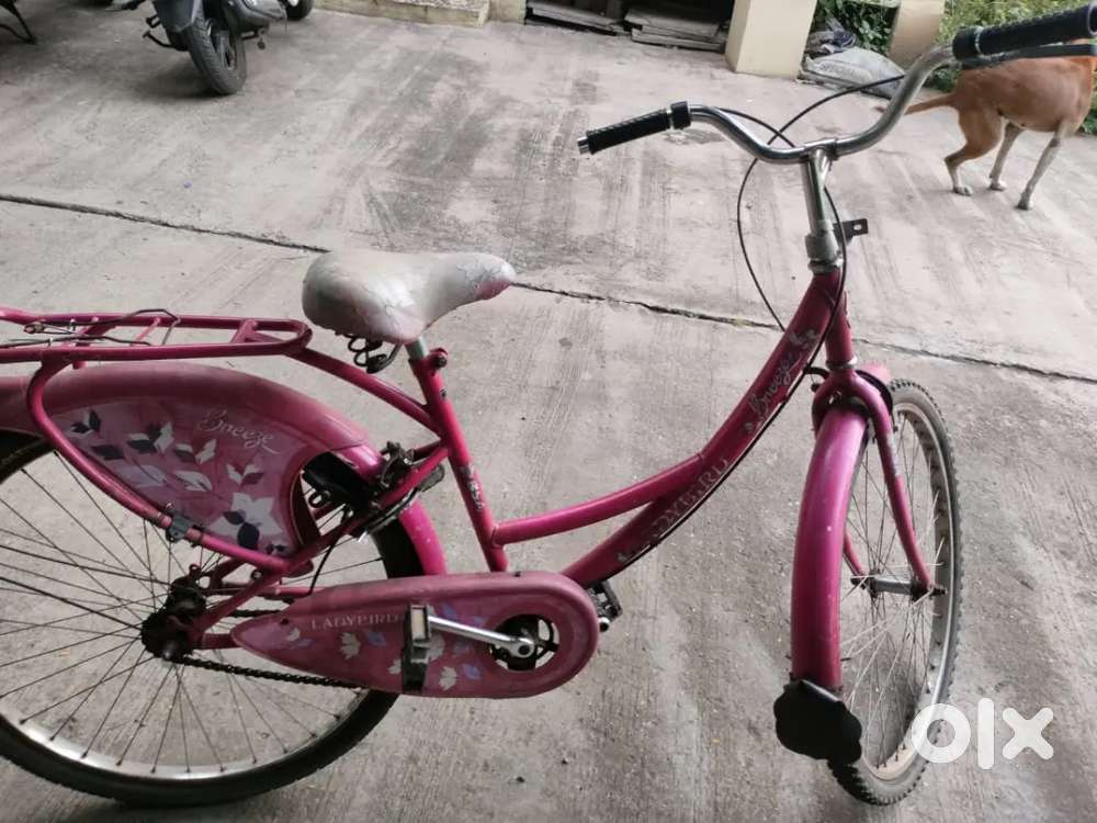 Lady bird breeze bicycle