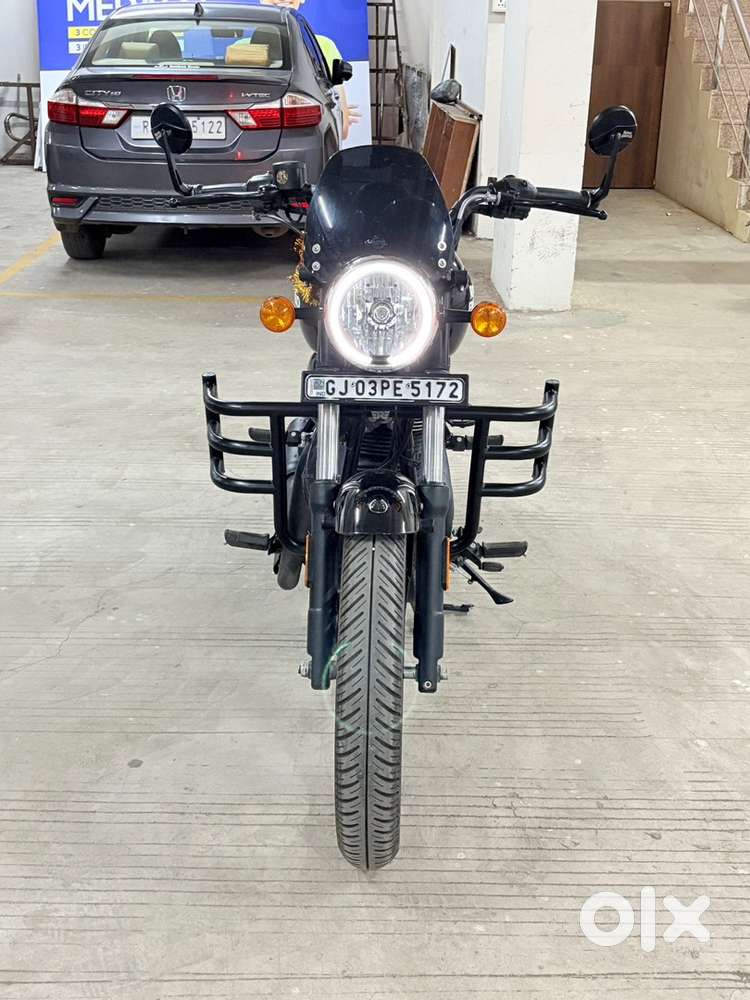 9 Month Old, Fireball Fully Black