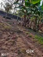 ഫാം നടത്തുന്നതിന് പറ്റിയ വീടോടുകൂടിയ നാലേക്കർ വസ്തു
