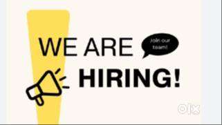 Wanted marketing staff