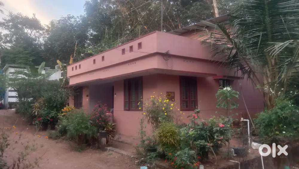 30 ലക്ഷം കോൺഗ്രീറ്റ് വീട്