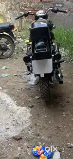 all new wellmanten