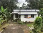 കോതമംഗലം  മലയൻകീഴ്  13 ലക്ഷം