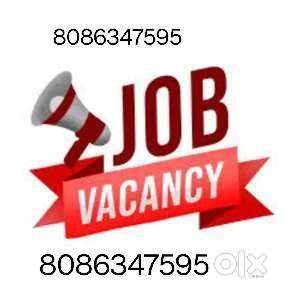 Driver vaccancy in kochi full time