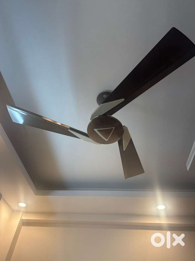 2 Orient brand Ceiling fans for Sale
