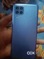 Samsung f22 only display change
