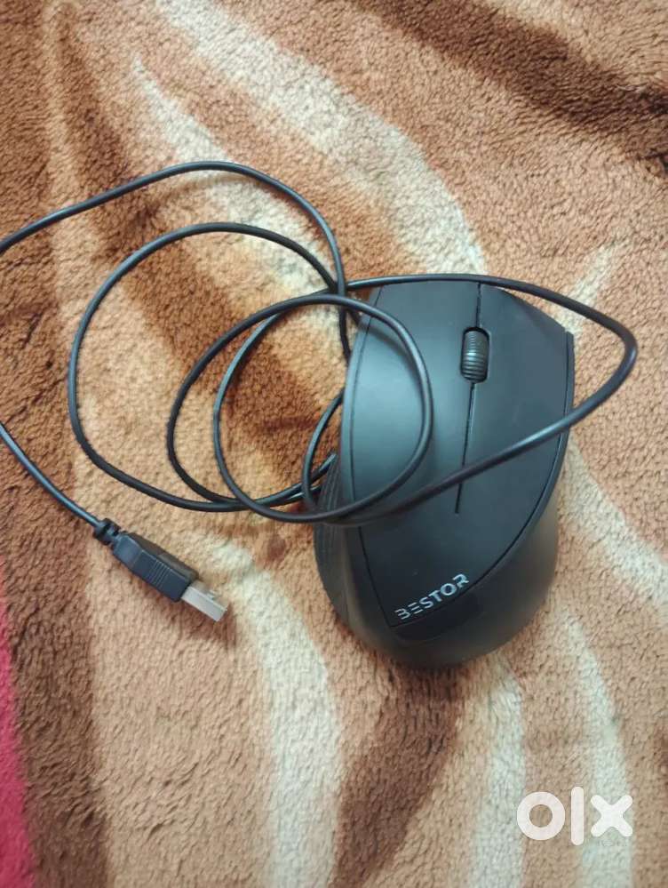 Bestor Mouse