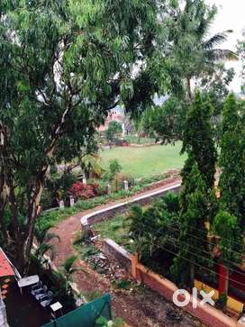 Affordable 1bhk flat for rent