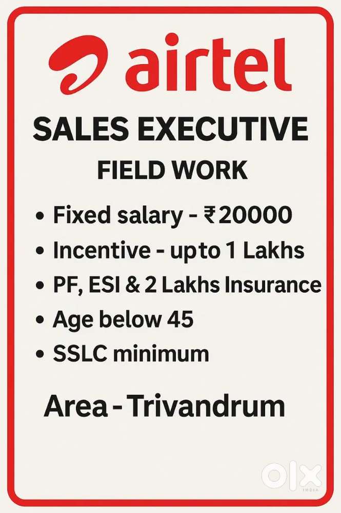 Sales Executive