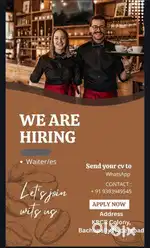 Waiter and waiters ( male or female ) with food and room