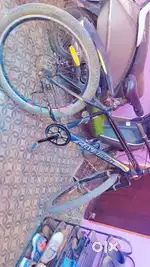 Caveman Mountain Bicycle