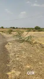 Tar road touch 27 gunta plot kavalagi gram to Aheri