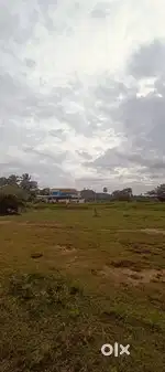 Plot for sale