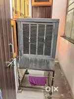 Desert cooler, Ashoka