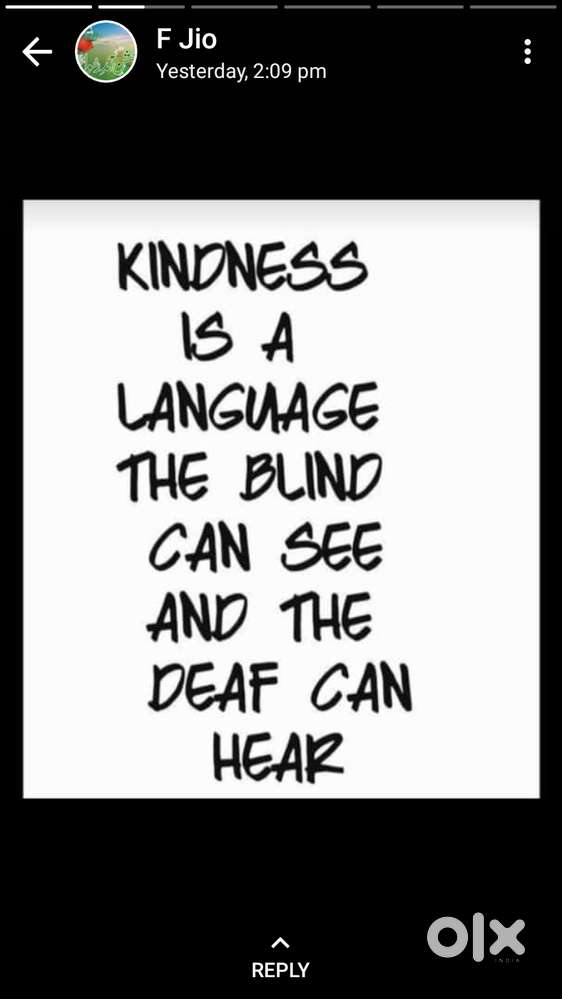 looking for office boy minimum 10+2