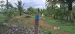 THANGAVELU NEAR KOVILPALAYAM 2 ACRE THOTTAM FOR SALE