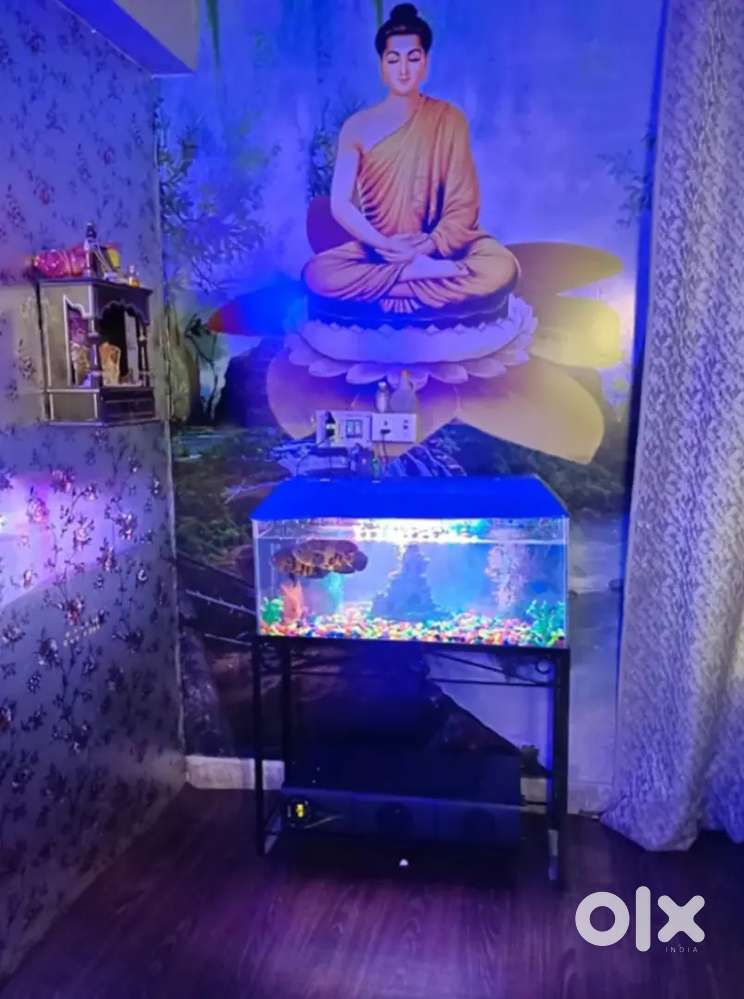 Spa canter me female therapist ki need hai  only female staff