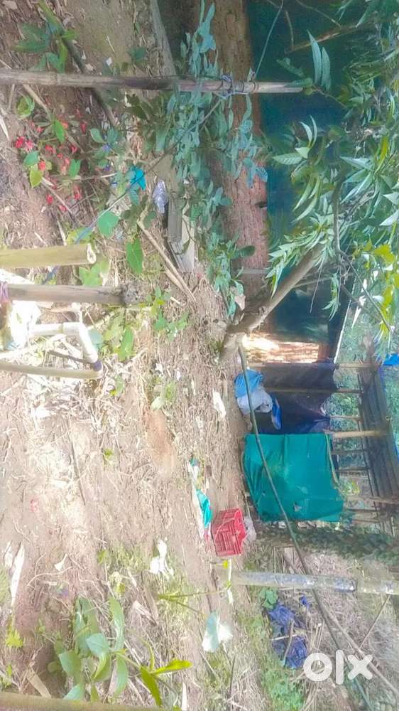 1 Katha Plot for Sale in Fatasil Ambari (Milon Nagar)  Well  ₹8 Lakh