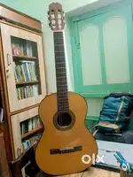 Classical Guitar (Natural Brown)