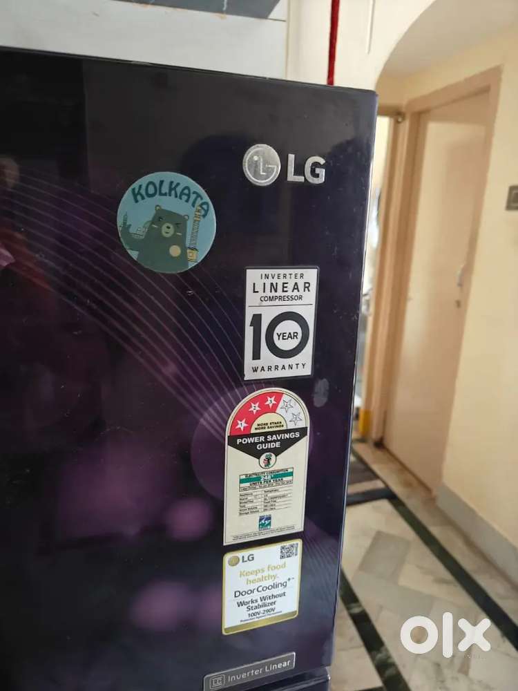 LG 260 litres Double Door