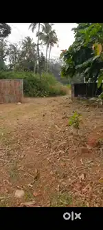 House plots for sale in kollam,kundara, kerala.