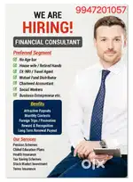 Financial Consultant