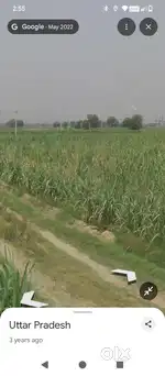 2 bigha land in daurala village merrut