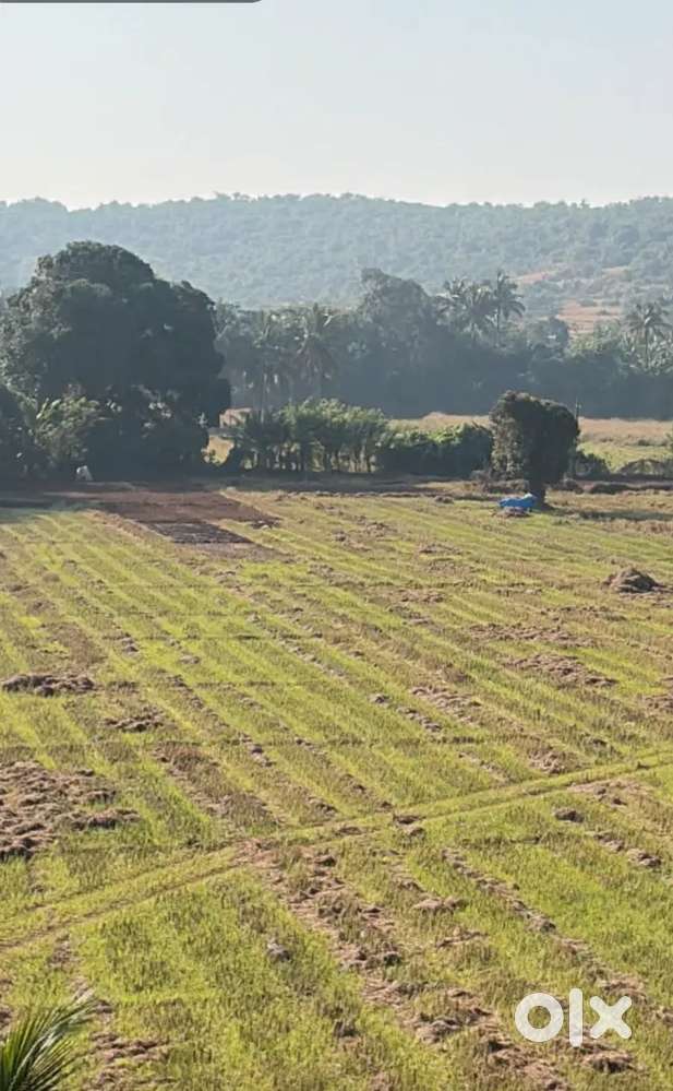 urgently sale my Farmhouse and Farmland