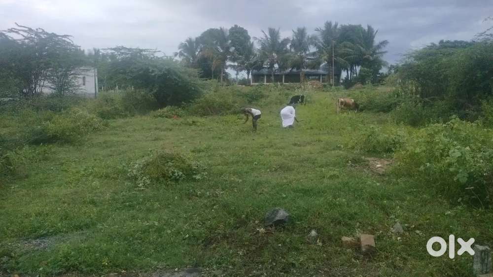 Residential plot for sale in valasaiyur