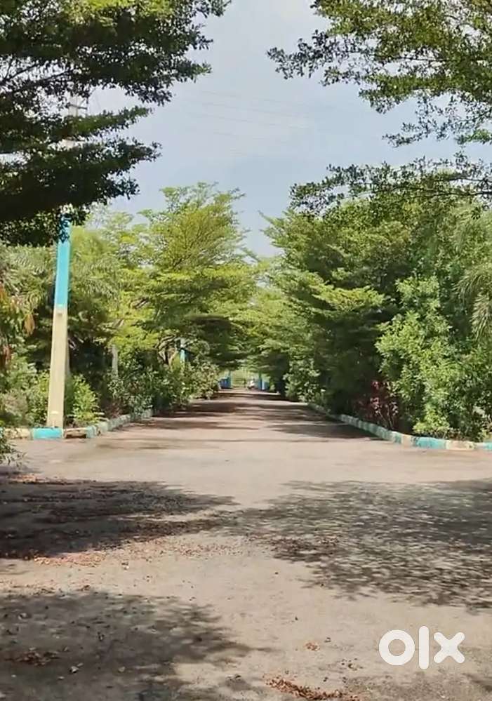 200 Yds open plot for sale near kothaguda fruit market, Pochampally Rd