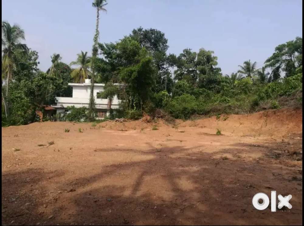 24 Cent Plot Available