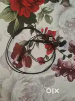 Earphone and conector