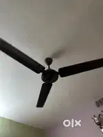Crompton fan