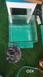 Fish tank 10mm thickness