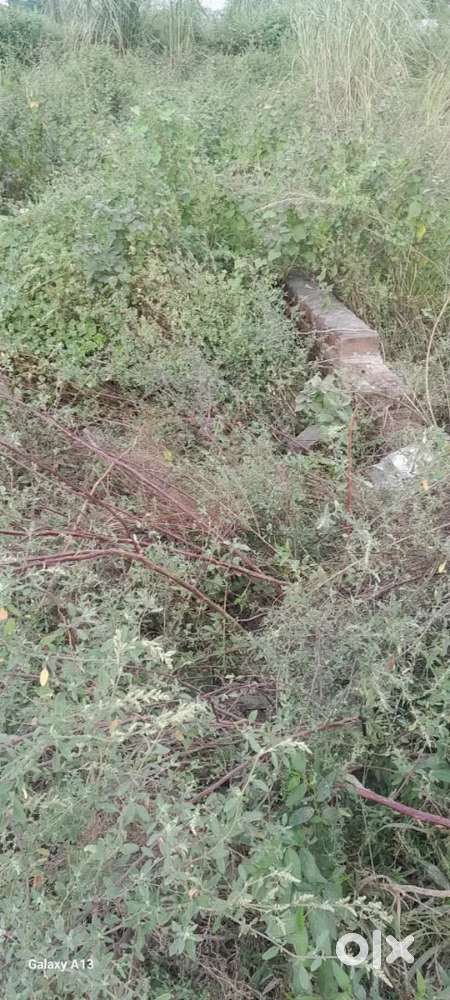 Plot in the area of dhoom Manikpur, Gautam budh Nagar, near Dadri