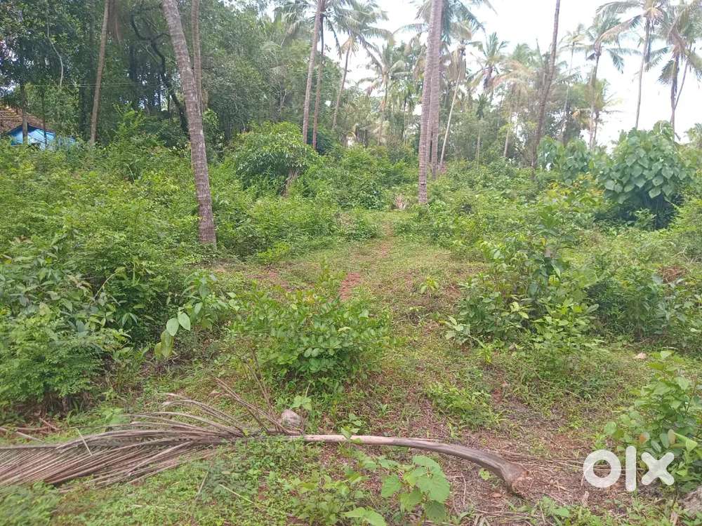 12+10 cent square plot for sale in kottayam poyyil