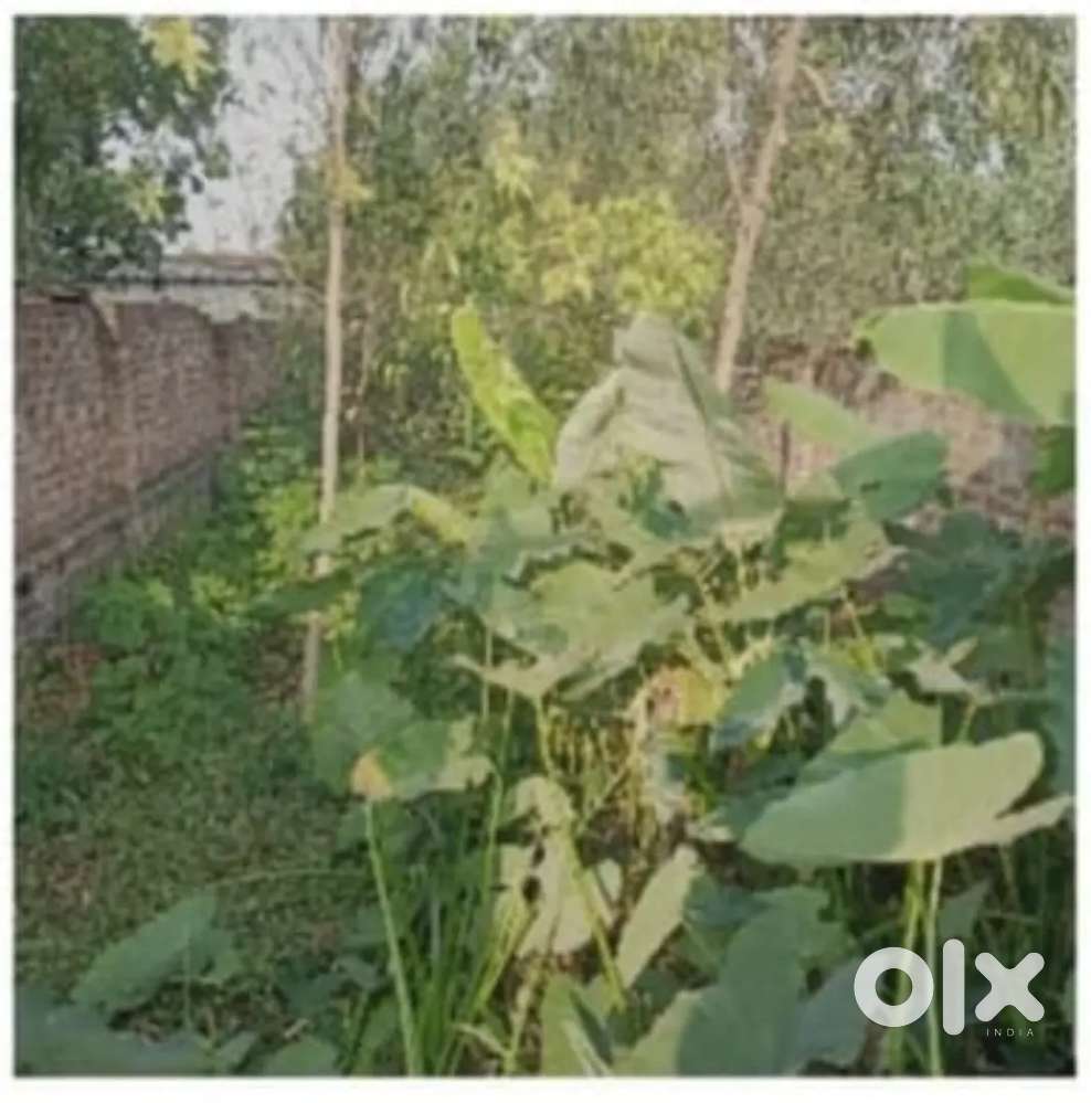 Bahraich Se 5 kilometer duri per Nanpara road men Highway se 400 meter
