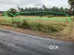 1.5 acres agri land for sale