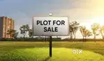 7.20 decimal plot for sale at Binayak colony, F.M. Nagar, Balasore