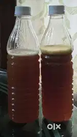 Forest honey(Apis dorsata)