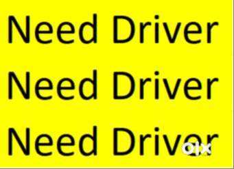 Driver cum office assistance