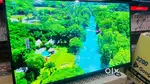 43Inch Ultra Slim Led Tv With 1years Warranty