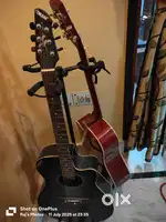 Two Acoustic Guitar with stand