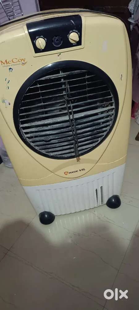 Mccoy cooler 5year old