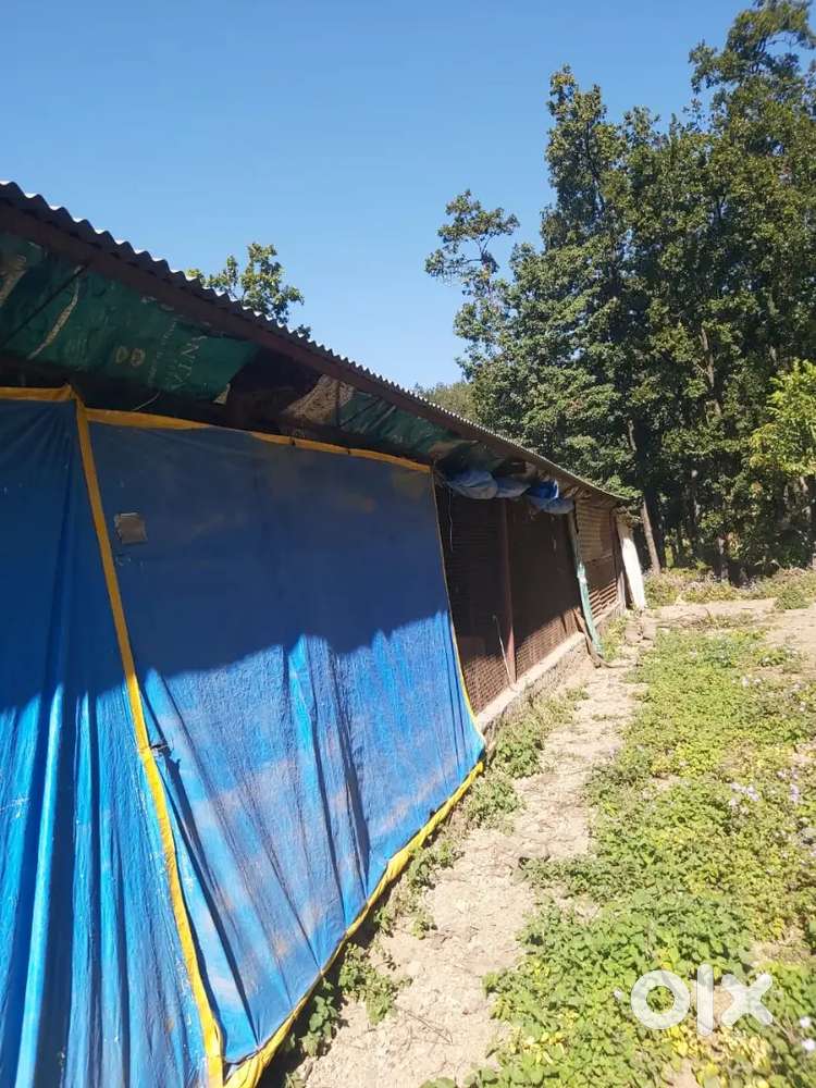 Rent for dairy ,poultry farm,dog hostel ,mushroom farming,ngo etc-etc