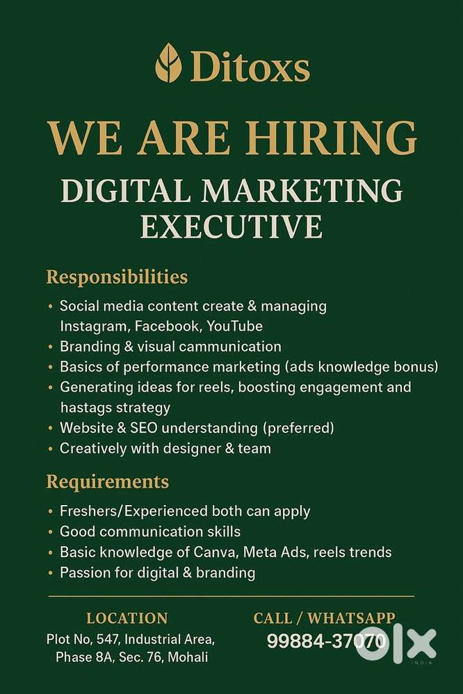 Hiring: Social Media Manager + Editor + Designer