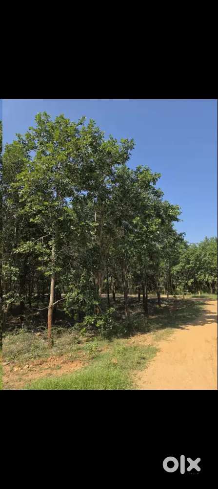 Chaitanya developers vare Green valley