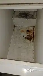 Haier Fridge