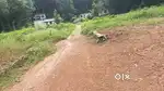 10 cent land in muttuchira